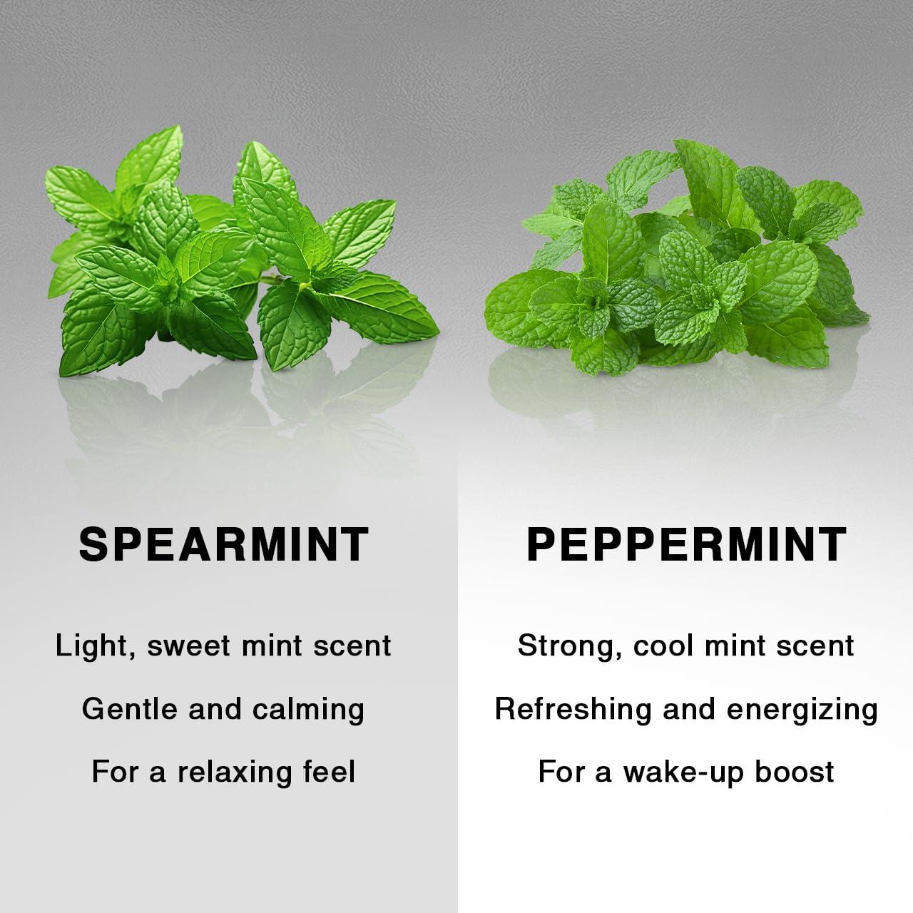 imageKitsch Charcoal Soap Body Wash Bar Detoxifying Bar Soap with Activated Charcoal Gently Removes Excess Oil ampamp Impurities Clears Pores Firms ampamp Moisturizes Skin Made in USA 4 oz