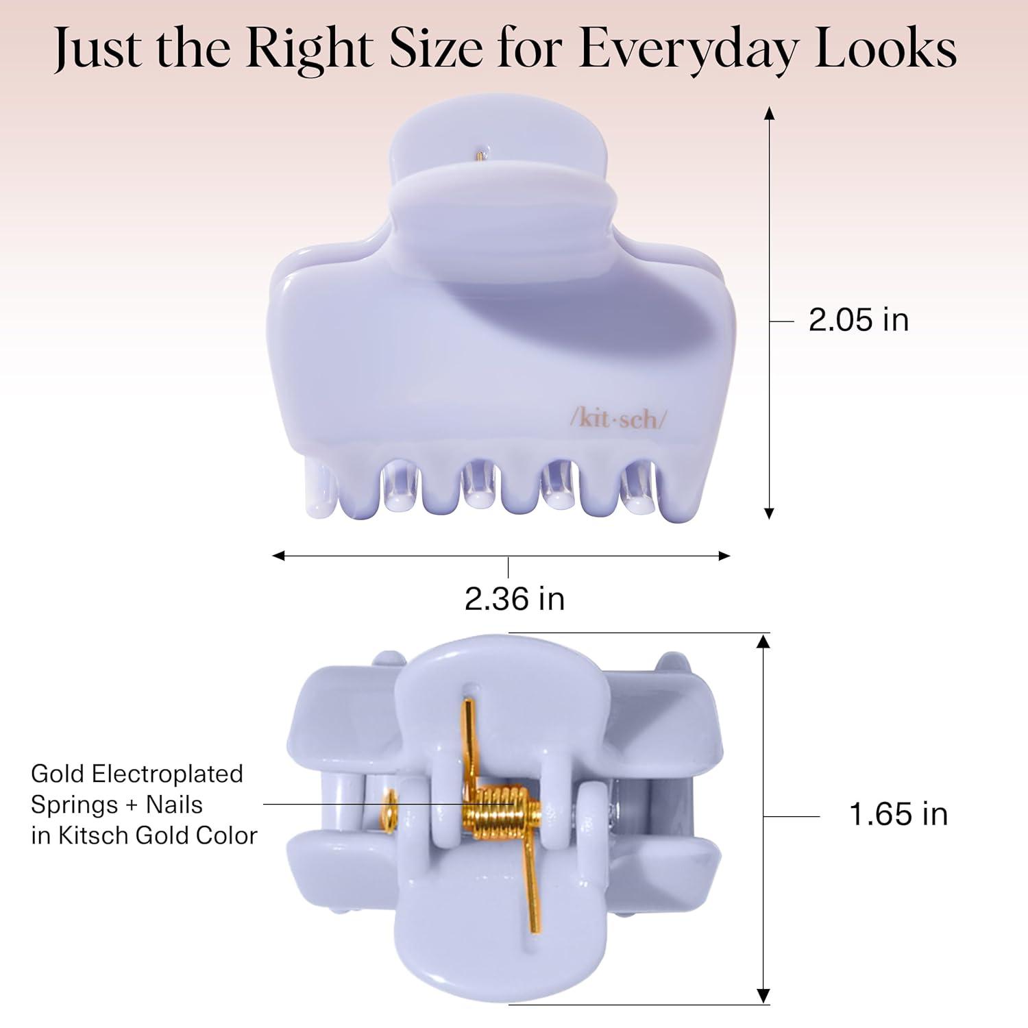 imageKitsch x Star Wars R2D2 Glitter Hair Clip for Women Whimsical GalaxyInspired Claw Clip EcoFriendly Recycled Plastic Strong Secure Grip Ideal Gifts for Women Hair Accessories for GirlsHydrangea Breeze