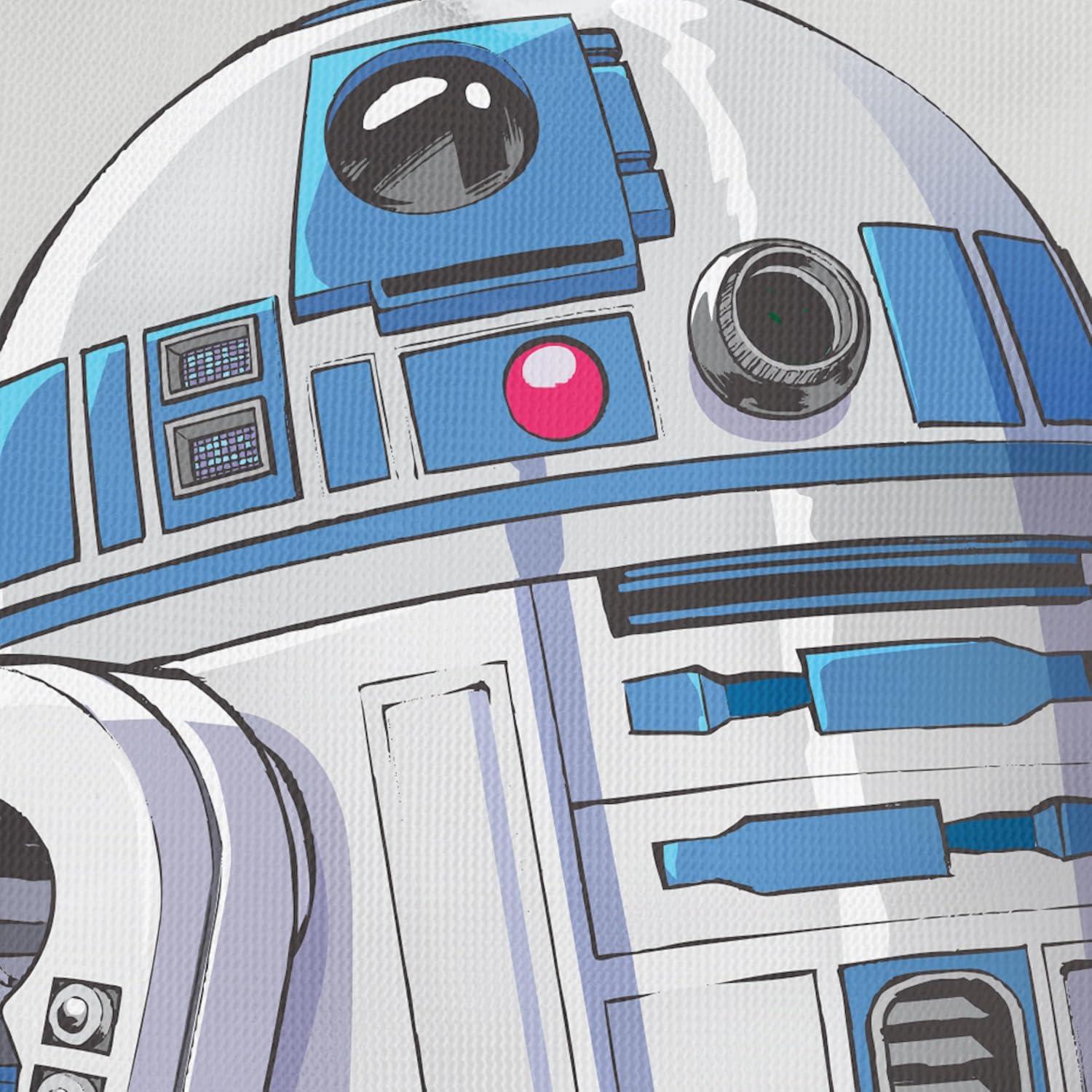 imageKitsch x Star Wars R2D2 Soap Saver Bag Patented Mesh Bag Soap Holder for Shampoo ampamp Conditioner Bars Extends Use ampamp Prevents Soggy Mess Recycled Mesh Beauty Pouch EcoFriendlyR2d2